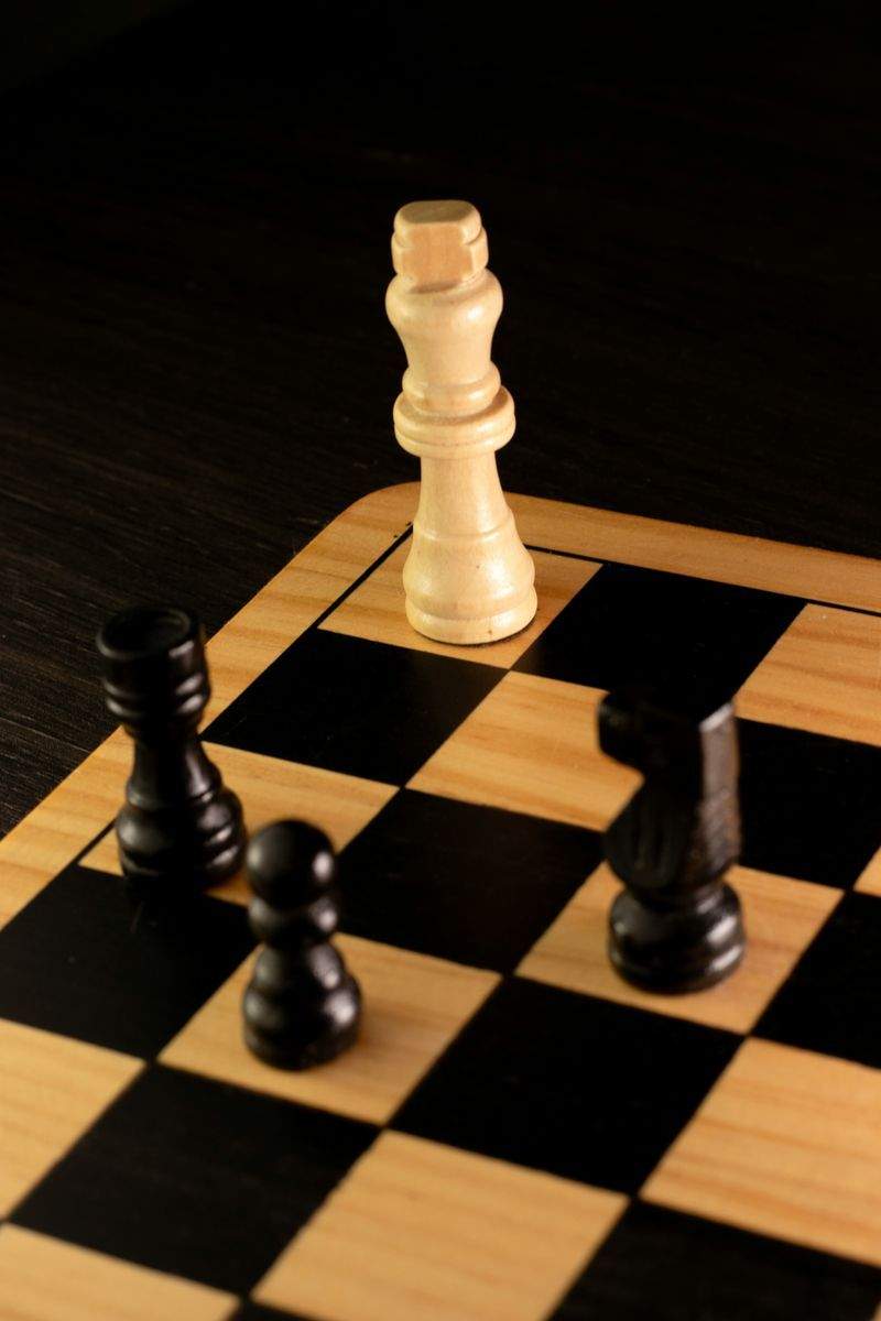 Schach-Workshops für Schulen und Bildungseinrichtungen